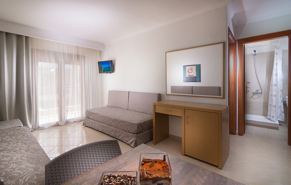 APANEMIA-ONE BEDROOM APARTMENT (21)-2